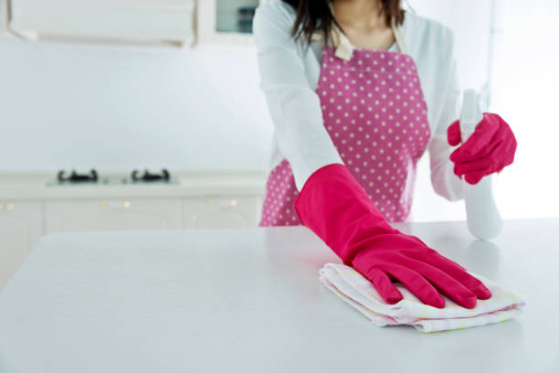 istock Woman cleaning the kitchen counter 958634864