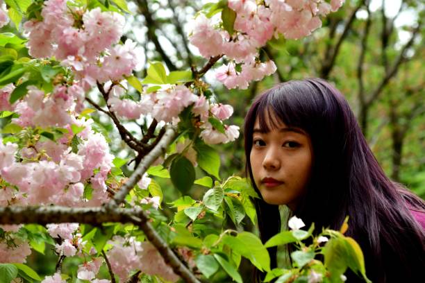 istock Young Japanese Woman Posing under Double Cherry Blossoms 958639640