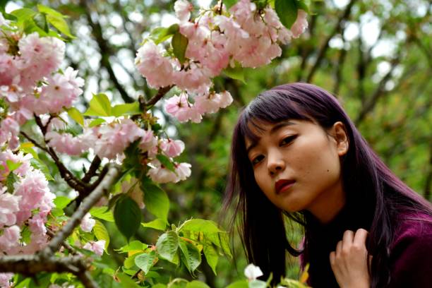 istock Young Japanese Woman Posing under Double Cherry Blossoms 958639658