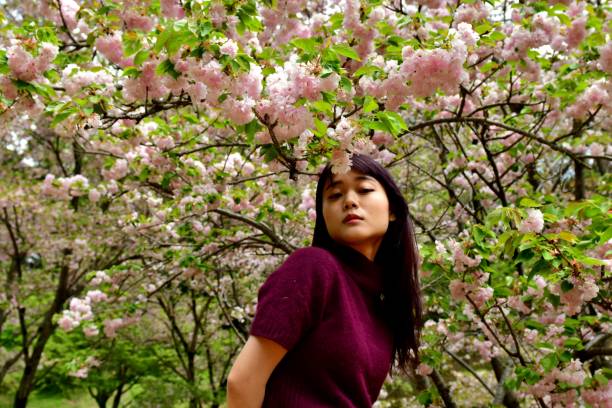 istock Young Japanese Woman Posing under Double Cherry Blossoms 958639928