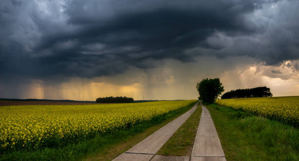 tempestade que se aproxima ao longo de uma estrada do país - tornado storm disaster storm cloud - fotografias e filmes do acervo