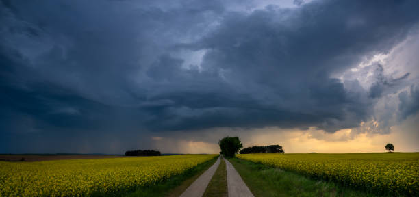 istock approaching storm over a country road 958647260