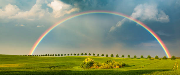 arcobaleno sul campo primaverile dopo aver superato la tempesta - nature rain crop europe foto e immagini stock