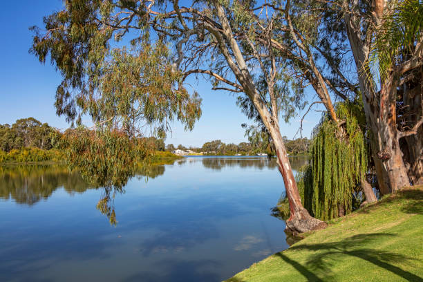 Idyllic, scenic River Murray on bright sunny day with tree overhang
