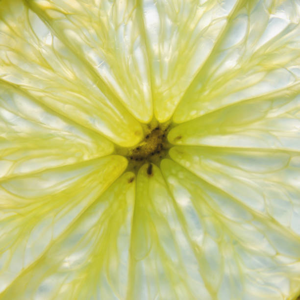 istock Lemon and lime slice and fresh citrus fruit. 958652946