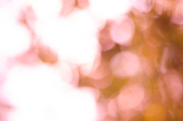 istock abstract color full bokeh background with light 958654124