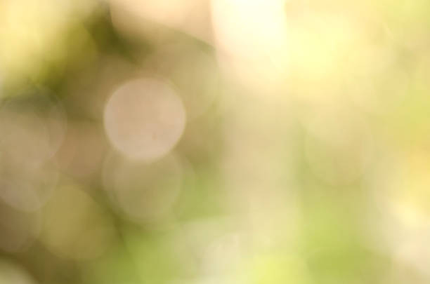 istock abstract color full bokeh background with light 958656660