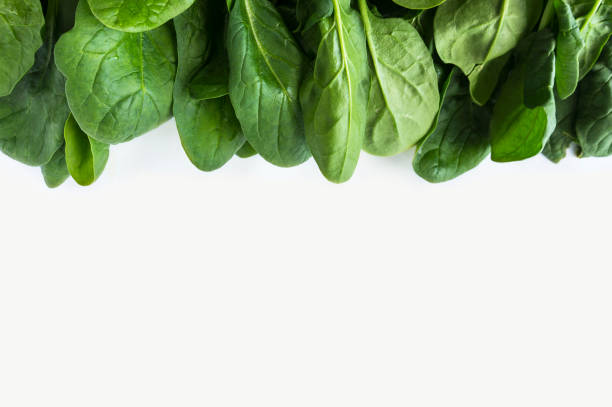 istock Green spinach at border of image with copy space for text. Top view. Spinach on a white background. 958657402