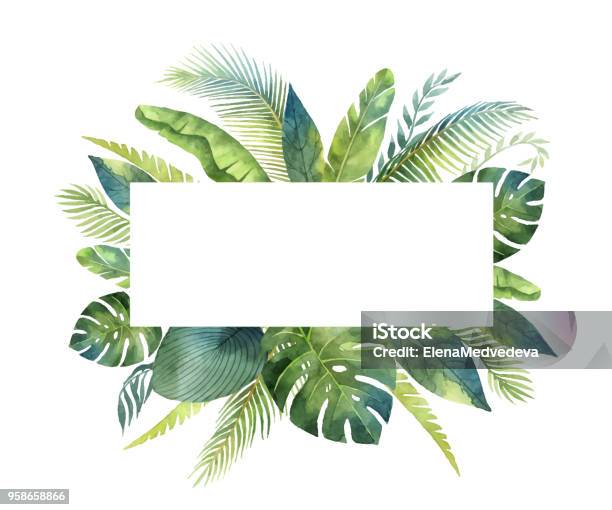 Watercolor Vector Banner Tropical Leaves And Branches Isolated On White Background - Arte vetorial de stock e mais imagens de Folha