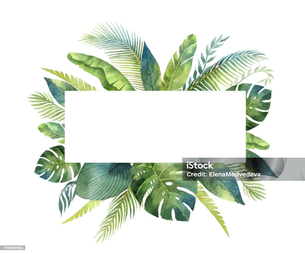 Watercolor vector banner tropical leaves and branches isolated on white background. Watercolor vector banner tropical leaves and branches isolated on white background. Illustration for design wedding invitations, greeting cards, postcards. Summer flowers with space for your text. Leaf stock vector