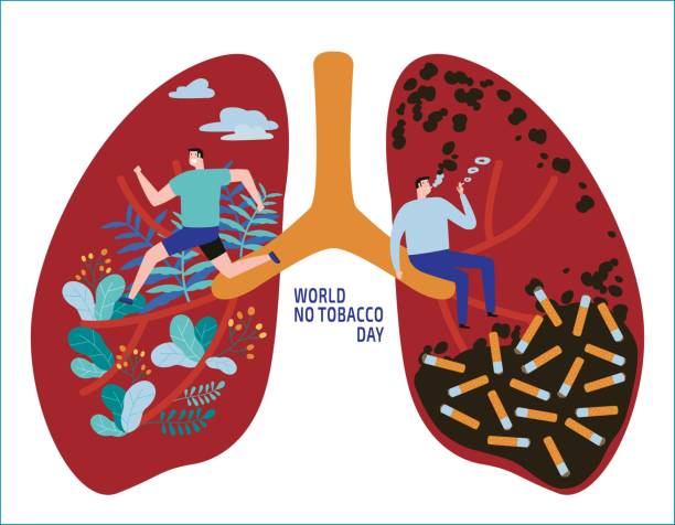 ilustrações, clipart, desenhos animados e ícones de bandeira de ilustração em vetor dia mundial sem tabaco 31 de maio. não fumar, parar a campanha fumaça. conceito de saúde de consciência. design de personagens de desenhos animados plana para web móvel - no smoking sign smoking sign cigarette