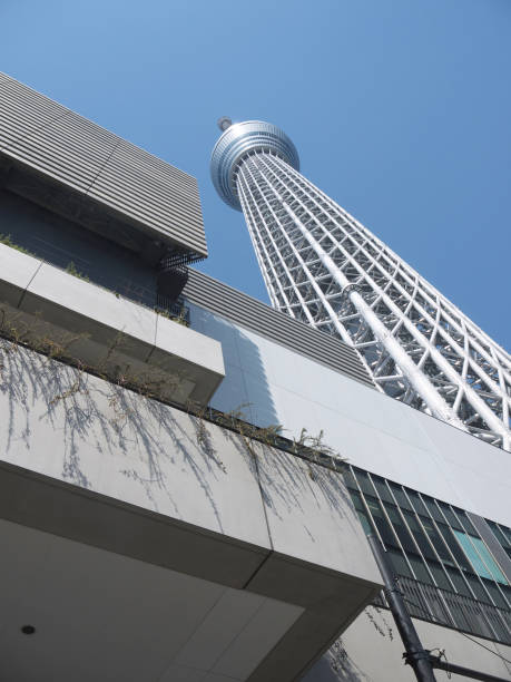 istock Looking up to Tokyo sky tree tower vertical view 958662582