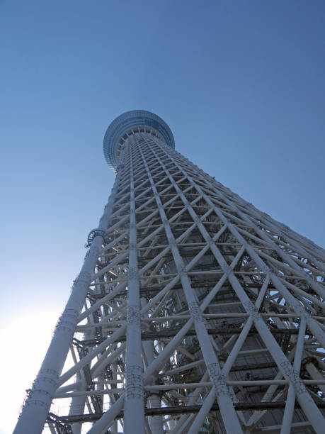 en levant à tokyo sky tour vertical arborescence - clear sky vacations vertical saturated color photos et images de collection