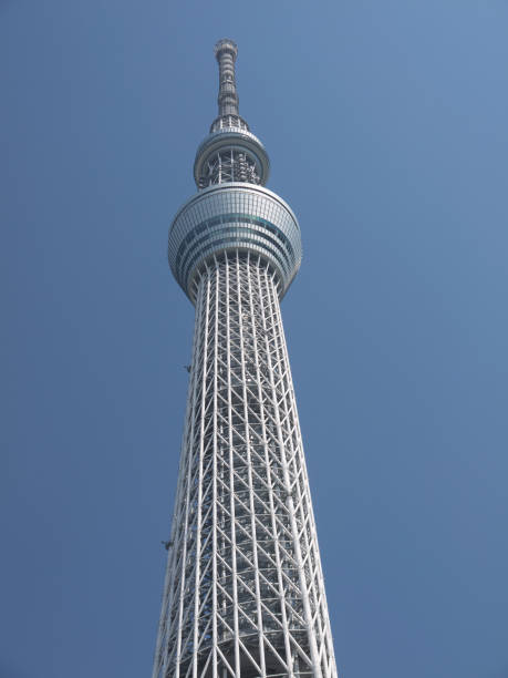 en levant à tokyo sky tour vertical arborescence - clear sky vacations vertical saturated color photos et images de collection