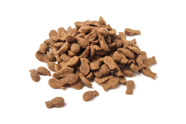 istock Dry food for cats 958668680