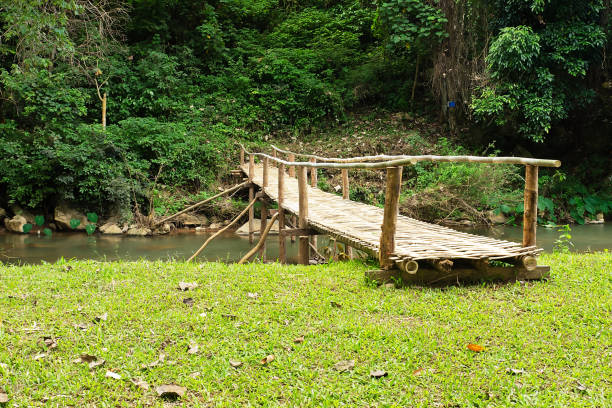 Bamboo bridge. Bamboo bridge for crossing the river in the countryside of Thailand. nub stock pictures, royalty-free photos & images