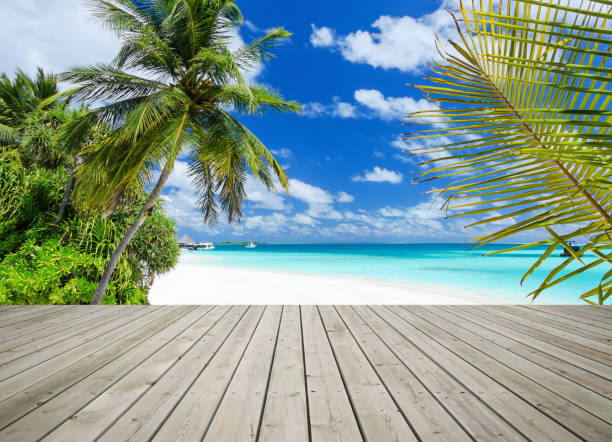 istock Wooden Platform Beside Summer Tropical Beach 958677206