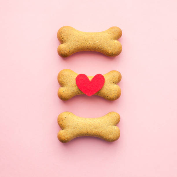 istock Set of bone-shaped biscuits for dog on pink background, concept pet care 958677850
