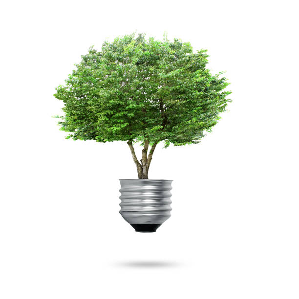 istock Green energy symbols ecology, light bulb 958679144