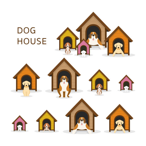 Dogs in Doghouse or Kennel Large to Small Size, Pets and Animal kennel stock illustrations