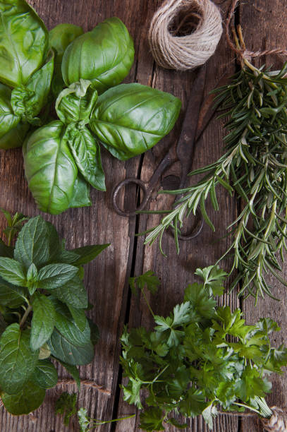 istock Fresh aromatic herbs on on rustic wooden background. 958683590
