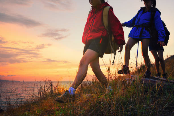 istock People hiking in the forest during summer. 958684102