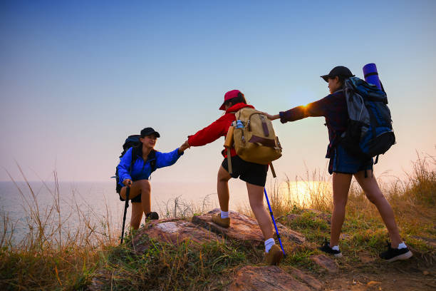 istock People hiking in the forest during summer. 958684182