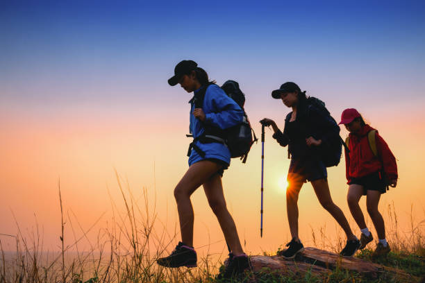 istock People hiking in the forest during summer. 958684254