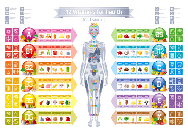 ilustrações, clipart, desenhos animados e ícones de suplemento de vitamina mineral corpo humano feminino, comida, bandeira de benefício saúde, vetor plana ícone conjunto texto carta logo. cartaz de ilustração de tabela, gráfico de medicina. diagrama de infográfico médico dieta equilíbrio - vitamina a