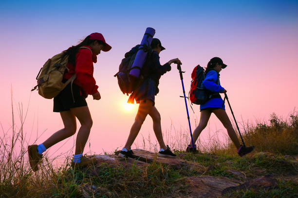 istock People hiking in the forest during summer. 958684390