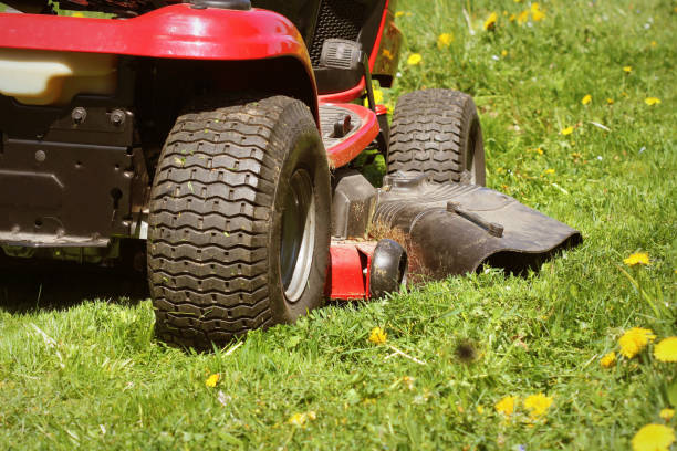 istock cutting the grass of on a tractor lawn mower 958688002