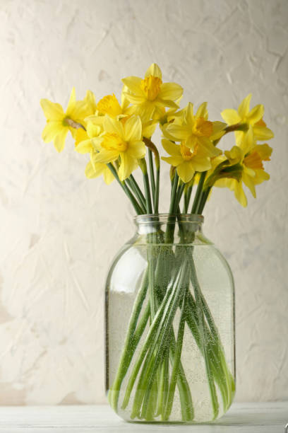 istock Fresh narcissus in glass jar, flowers 958689558