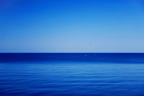istock Sea blue Seagull stones 958693534