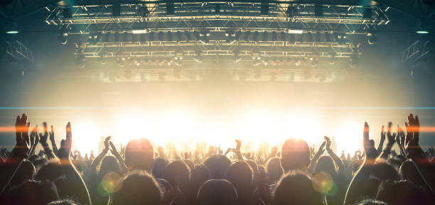 istock Concert crowd in front of a live stage 958703112