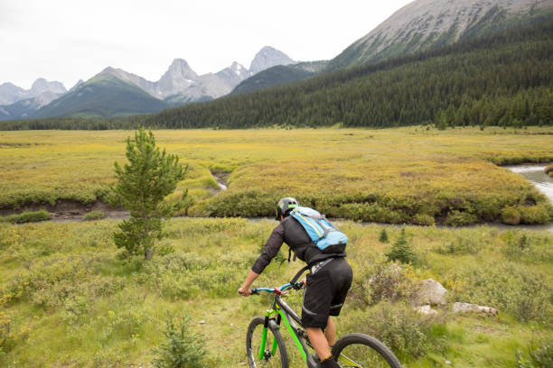 istock Mountain biker traverses meadow in mountains 958704260