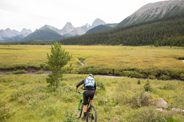 istock Mountain biker traverses meadow in mountains 958704332