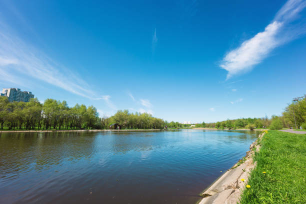 istock Sunny day on a calm pond 958706916
