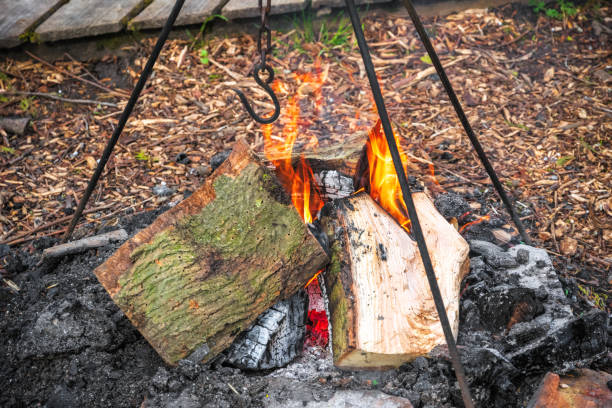 istock Campfire, burning wood at a campsite 958708212
