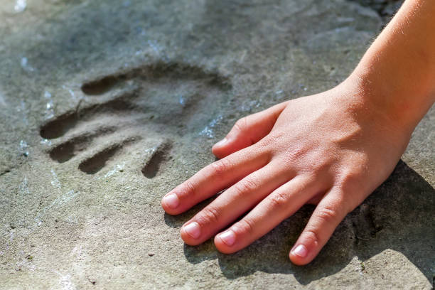 istock Childs hand and memorable handprint in concrete 958708490