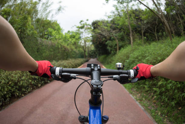 istock cyclist riding mountain bike on trail in forest 958708954