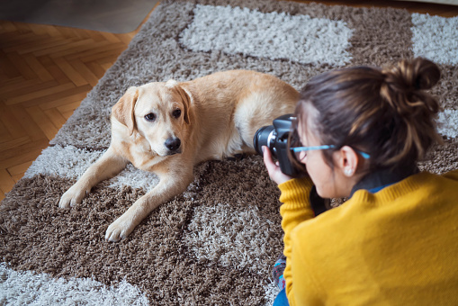 Young woman at home photographing dog