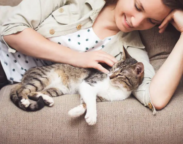 Young woman cuddling cat at home