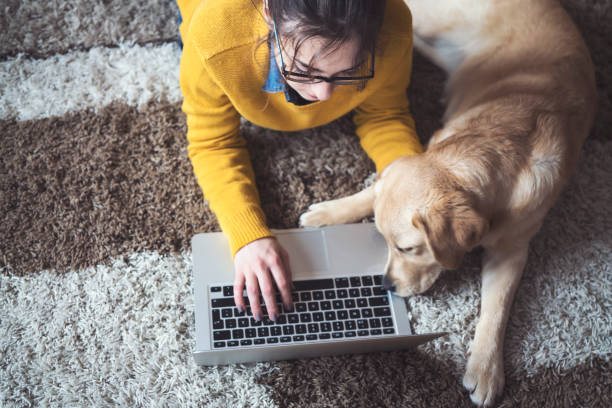 Young woman at home chatting with friends Young woman at home chatting with friends and working on laptop with dog labrador retriever photos stock pictures, royalty-free photos & images