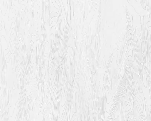 Vector illustration of Natural white wood texture, painted boards, realistic wooden background, vector