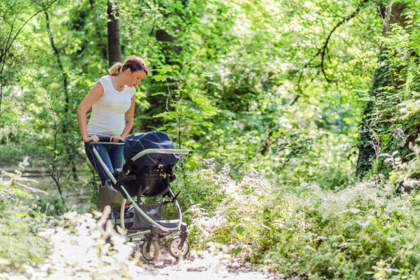istock They enjoy many adventure when out on their stroll 958727032