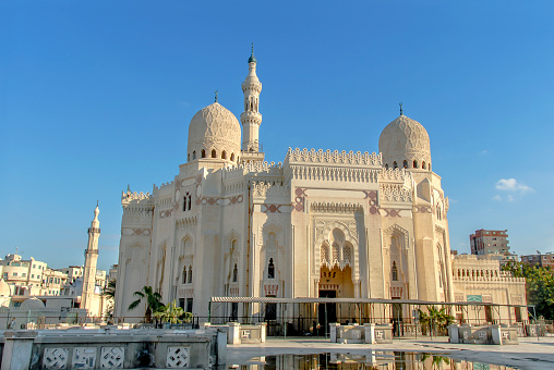 Oman - Mascate - Al Alam palace garden