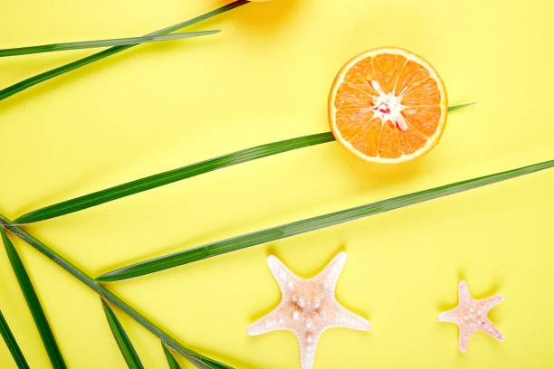 istock Orange fruit, starfish and palm leaves 958731962