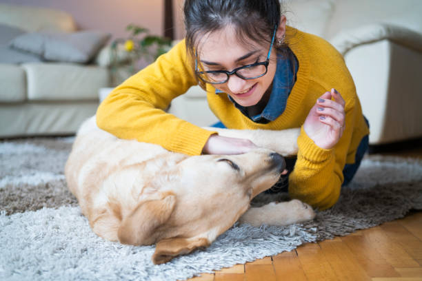 istock Young woman at home playing with dog 958739134