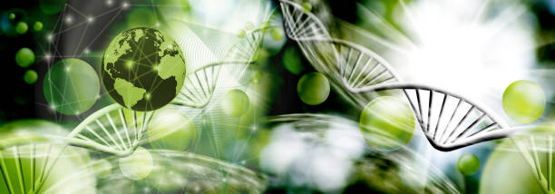 istock Image of molecular structure and chain of dna on a green background closeup,stylized 958742634