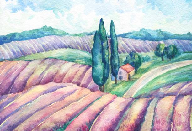 istock Landscape in Provence. Colorful blooming lavender fields with rural house. Hand drawn watercolor painting. 958747444